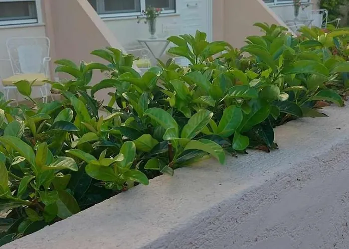Nn Rooms And Suites Near Athens Airport Spata  photo
